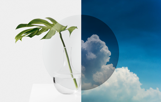 Mit selbsttönenden Gläsern Chamäleon spielen